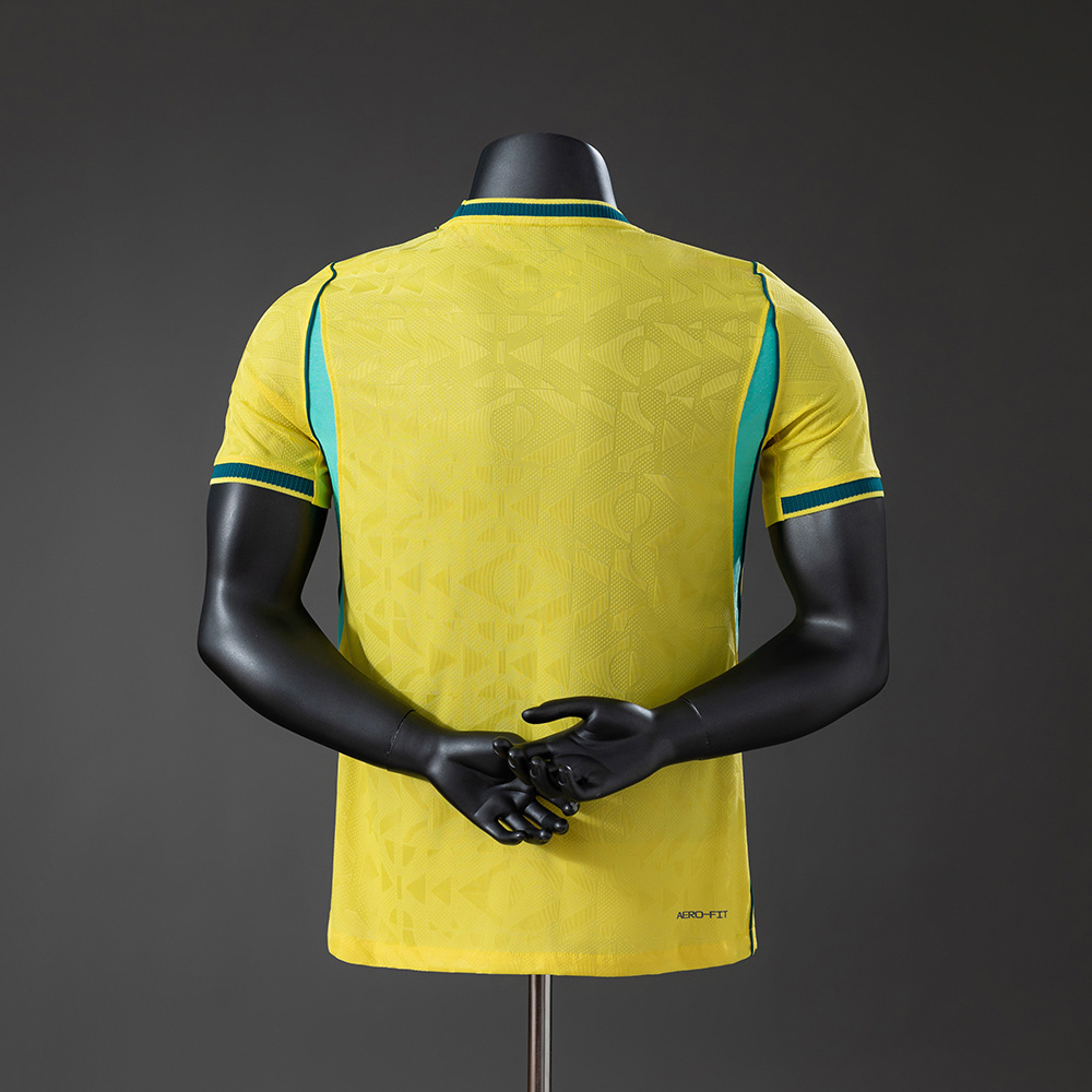 Brasil Principal 2026 – Versão Jogador